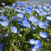 ヒメ日記 2026/03/10 10:01 投稿 りお 夜這専門発情する奥様たち 谷九店