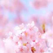 ヒメ日記 2026/03/11 10:01 投稿 りお 夜這専門発情する奥様たち 谷九店