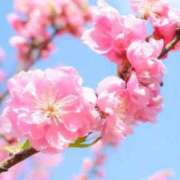 ヒメ日記 2026/03/12 10:18 投稿 りお 夜這専門発情する奥様たち 谷九店