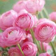 ヒメ日記 2026/03/13 10:01 投稿 りお 夜這専門発情する奥様たち 谷九店