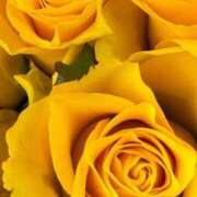 ヒメ日記 2026/03/14 09:11 投稿 りお 夜這専門発情する奥様たち 谷九店