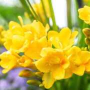 ヒメ日記 2026/03/15 09:02 投稿 りお 夜這専門発情する奥様たち 谷九店