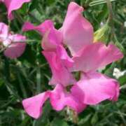 ヒメ日記 2026/03/16 10:11 投稿 りお 夜這専門発情する奥様たち 谷九店