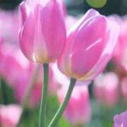 ヒメ日記 2026/03/17 10:11 投稿 りお 夜這専門発情する奥様たち 谷九店