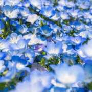 ヒメ日記 2026/03/18 10:01 投稿 りお 夜這専門発情する奥様たち 谷九店