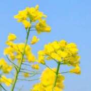 ヒメ日記 2026/03/19 09:42 投稿 りお 夜這専門発情する奥様たち 谷九店