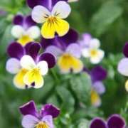 ヒメ日記 2026/03/21 09:01 投稿 りお 夜這専門発情する奥様たち 谷九店