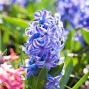 ヒメ日記 2026/03/23 10:11 投稿 りお 夜這専門発情する奥様たち 谷九店