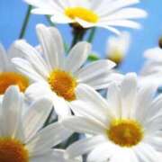 ヒメ日記 2026/03/24 10:07 投稿 りお 夜這専門発情する奥様たち 谷九店