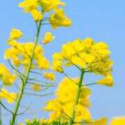 ヒメ日記 2026/03/26 10:02 投稿 りお 夜這専門発情する奥様たち 谷九店