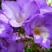 ヒメ日記 2026/03/27 10:11 投稿 りお 夜這専門発情する奥様たち 谷九店