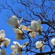 ヒメ日記 2026/03/29 10:16 投稿 りお 夜這専門発情する奥様たち 谷九店