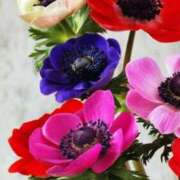 ヒメ日記 2026/03/30 10:01 投稿 りお 夜這専門発情する奥様たち 谷九店