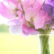 ヒメ日記 2026/03/31 10:01 投稿 りお 夜這専門発情する奥様たち 谷九店