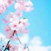 ヒメ日記 2026/04/01 10:11 投稿 りお 夜這専門発情する奥様たち 谷九店