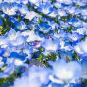 ヒメ日記 2026/04/02 10:11 投稿 りお 夜這専門発情する奥様たち 谷九店