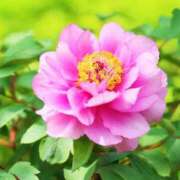 ヒメ日記 2026/04/05 10:01 投稿 りお 夜這専門発情する奥様たち 谷九店