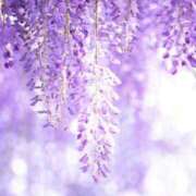 ヒメ日記 2026/04/06 10:08 投稿 りお 夜這専門発情する奥様たち 谷九店