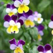 ヒメ日記 2026/04/07 10:01 投稿 りお 夜這専門発情する奥様たち 谷九店