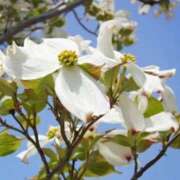 ヒメ日記 2026/04/08 10:19 投稿 りお 夜這専門発情する奥様たち 谷九店