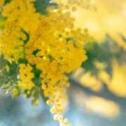 ヒメ日記 2026/04/09 10:01 投稿 りお 夜這専門発情する奥様たち 谷九店