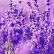 ヒメ日記 2026/04/10 10:01 投稿 りお 夜這専門発情する奥様たち 谷九店