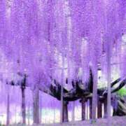 ヒメ日記 2026/04/15 09:01 投稿 りお 夜這専門発情する奥様たち 谷九店