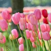 ヒメ日記 2026/04/16 10:01 投稿 りお 夜這専門発情する奥様たち 谷九店