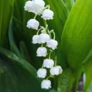 ヒメ日記 2026/04/17 09:01 投稿 りお 夜這専門発情する奥様たち 谷九店