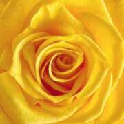 ヒメ日記 2026/04/18 09:15 投稿 りお 夜這専門発情する奥様たち 谷九店