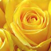 ヒメ日記 2026/04/19 09:01 投稿 りお 夜這専門発情する奥様たち 谷九店