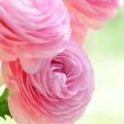 ヒメ日記 2026/04/20 10:01 投稿 りお 夜這専門発情する奥様たち 谷九店