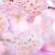 ヒメ日記 2026/04/21 10:19 投稿 りお 夜這専門発情する奥様たち 谷九店