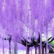 ヒメ日記 2026/05/03 10:01 投稿 りお 夜這専門発情する奥様たち 谷九店
