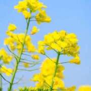 ヒメ日記 2026/05/13 10:11 投稿 りお 夜這専門発情する奥様たち 谷九店