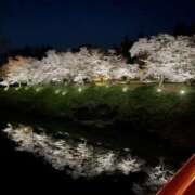 ヒメ日記 2025/05/07 11:12 投稿 藤木 みき こあくまな熟女たち 千葉店（KOAKUMAグループ）