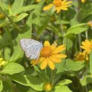 ヒメ日記 2025/10/10 10:21 投稿 藤木 みき こあくまな熟女たち 千葉店（KOAKUMAグループ）