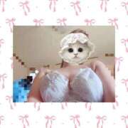 ヒメ日記 2025/07/25 08:31 投稿 ななせ 秋葉原ハンドメイド