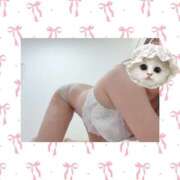 ヒメ日記 2025/09/24 09:24 投稿 ななせ 秋葉原ハンドメイド