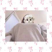 ヒメ日記 2026/02/19 14:49 投稿 ななせ 秋葉原ハンドメイド