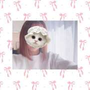 ヒメ日記 2026/03/05 11:41 投稿 ななせ 秋葉原ハンドメイド