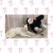 ヒメ日記 2026/03/14 09:04 投稿 ななせ 秋葉原ハンドメイド