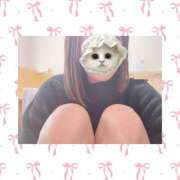 ヒメ日記 2026/03/19 11:09 投稿 ななせ 秋葉原ハンドメイド