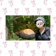 ヒメ日記 2026/04/09 09:21 投稿 ななせ 秋葉原ハンドメイド