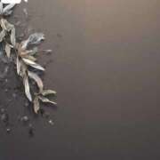 ヒメ日記 2026/04/20 14:19 投稿 ♡かれん先生♡ アイコレクション女学院