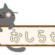 ヒメ日記 2023/09/23 08:38 投稿 ゆめ 名古屋ちゃんこ