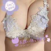 ヒメ日記 2025/04/27 12:20 投稿 らいか ごほうびSPA五反田店