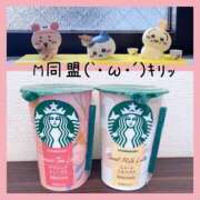 ヒメ日記 2026/03/08 13:05 投稿 みか 東京メンズボディクリニック TMBC 立川店