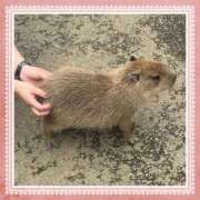 ヒメ日記 2025/08/14 14:44 投稿 朝日ゆきな ドクトル・ストレッチ