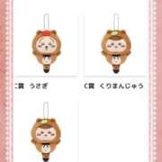 ヒメ日記 2025/08/20 13:45 投稿 朝日ゆきな ドクトル・ストレッチ